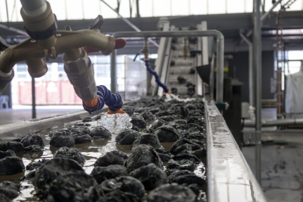 Recycled plastic material being washed and processed for practical e‑waste solutions in circular construction and manufacturing.
