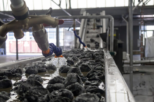 RESIN8 Circular to accelerate circular plastics solutions